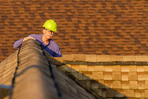 Best Residential Roofing Contractor  in Palmetto Estates, FL
