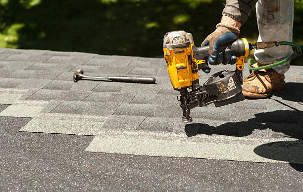 Best Roof Gutter Cleaning  in Palmetto Estates, FL